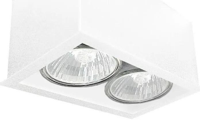 Brosline 1081 - Lampă spot CAGE 2xGU10/10W/230V, albă