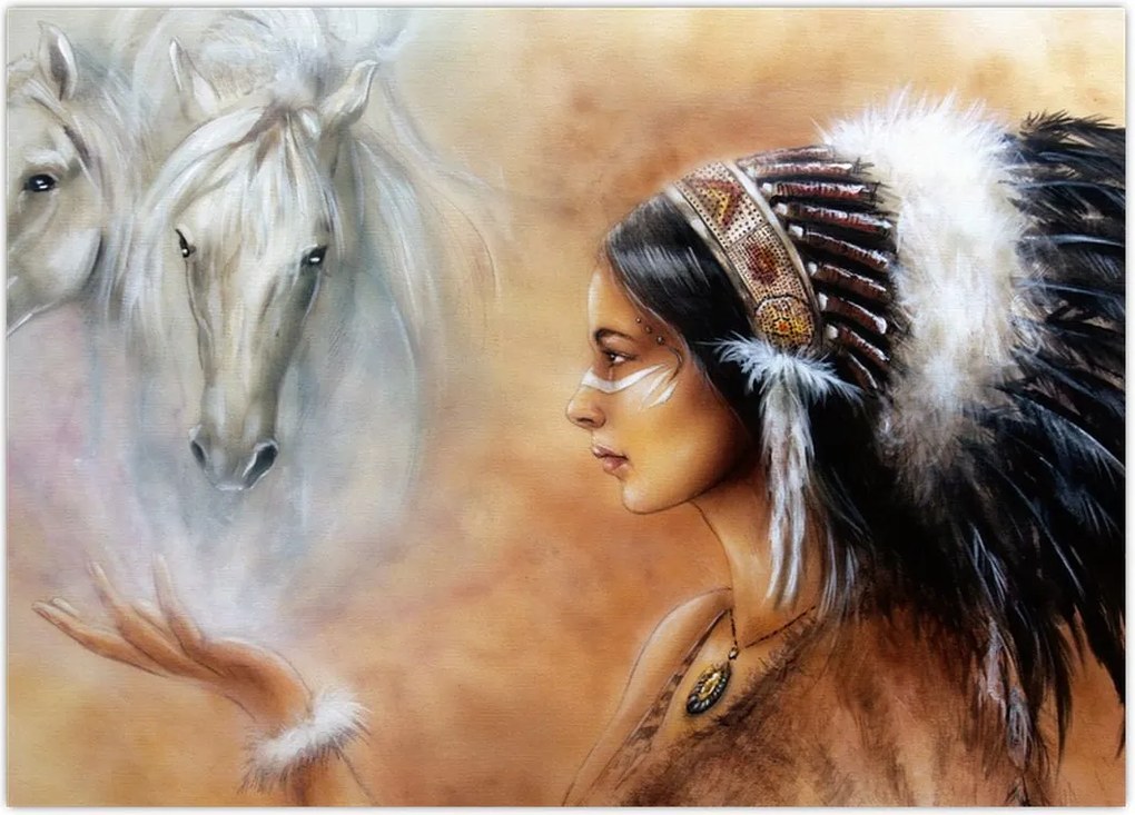 Tablou - Farmecele indienilor (70x50 cm)