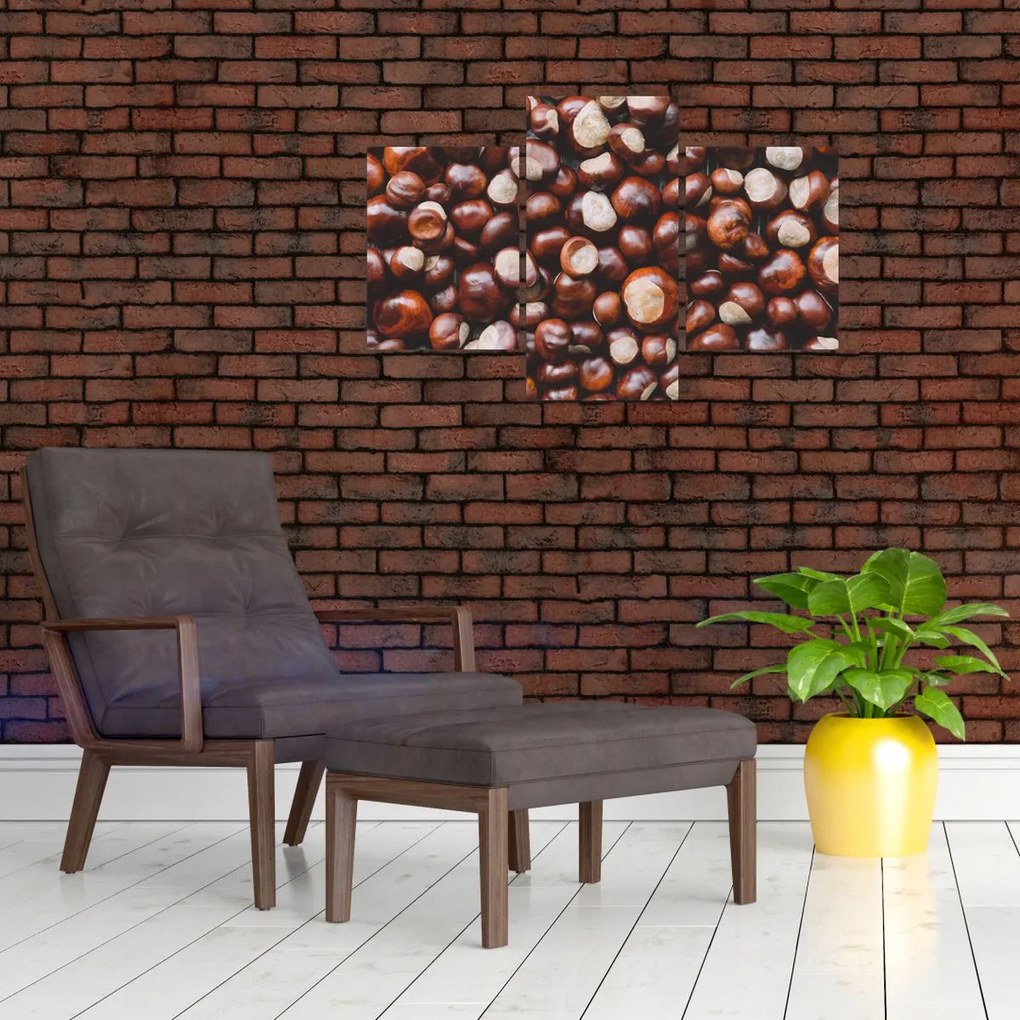 Tablou - Castane coapte (90x60 cm)