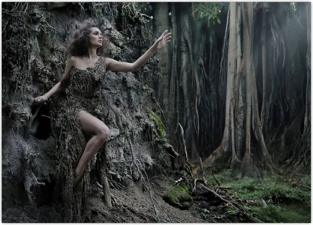 Tablou - Zâna pădurii (70x50 cm)