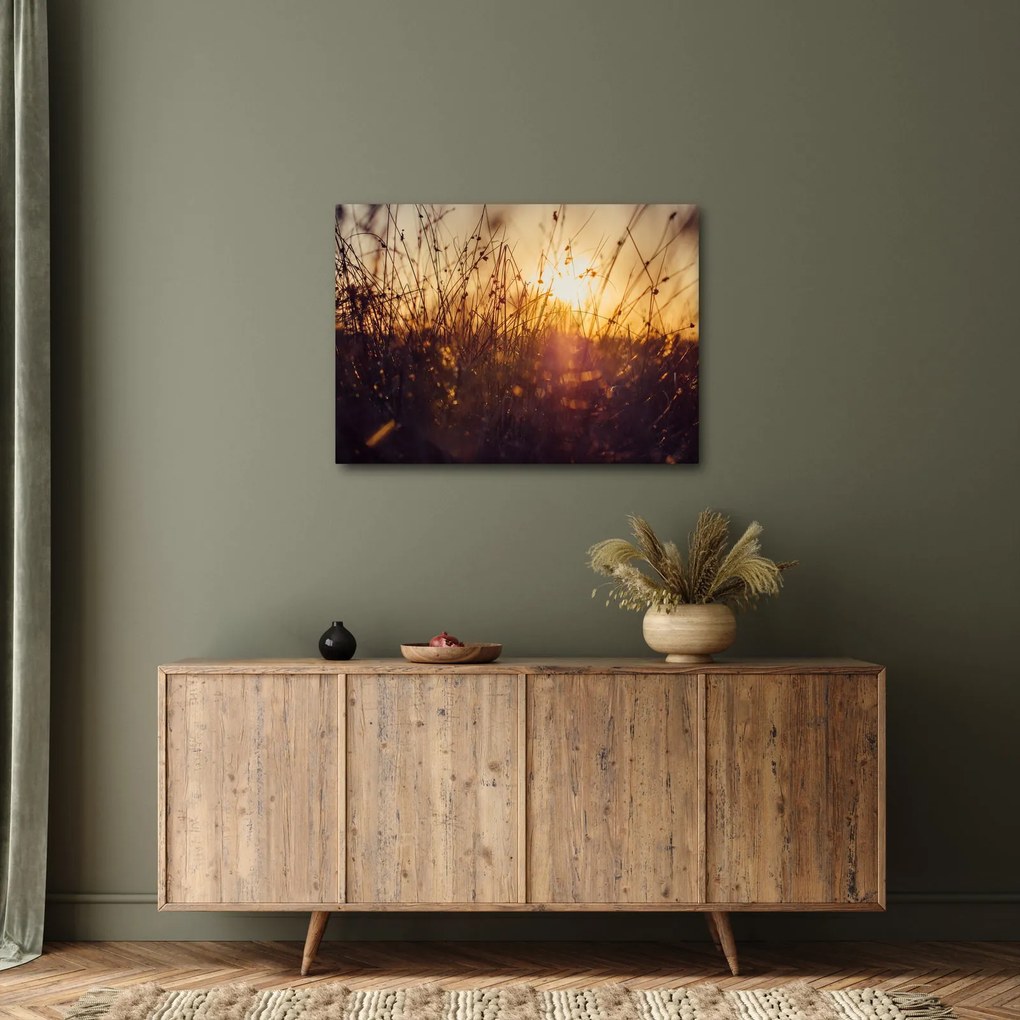 Tablou - Câmp la apus de soare (70x50 cm)