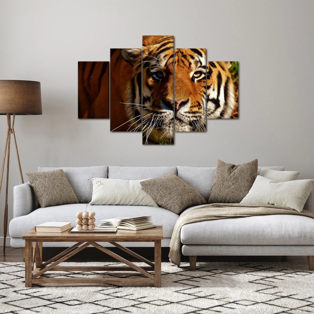 Tablou cu tigrul (150x105 cm)