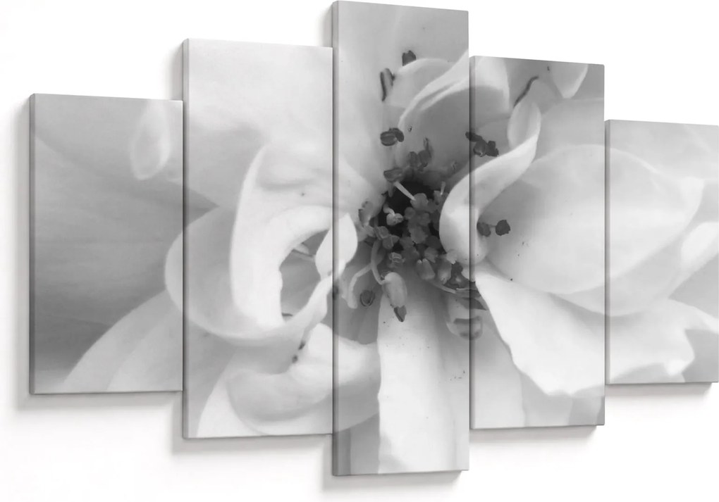 Tablou - Floare,alb-negru (150x105 cm)