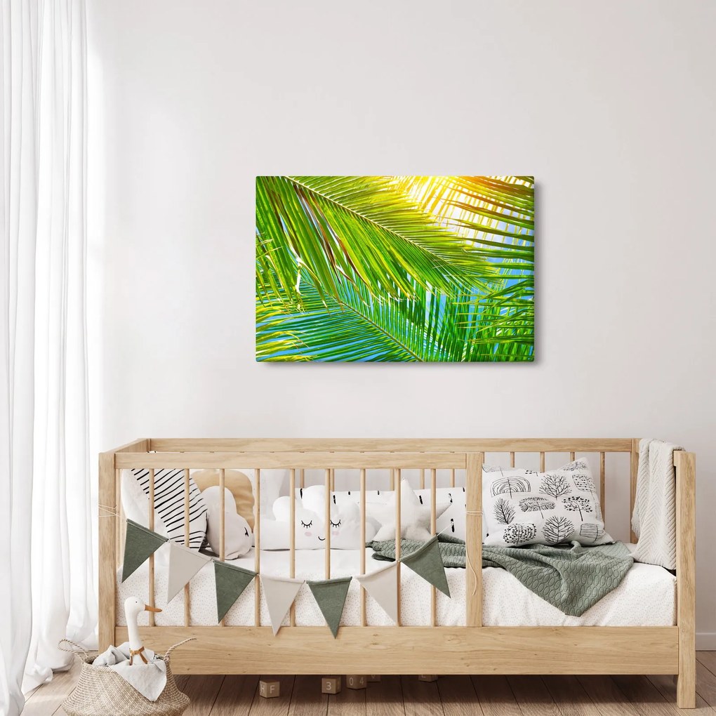 Tablou - Frunze de palmier (90x60 cm)