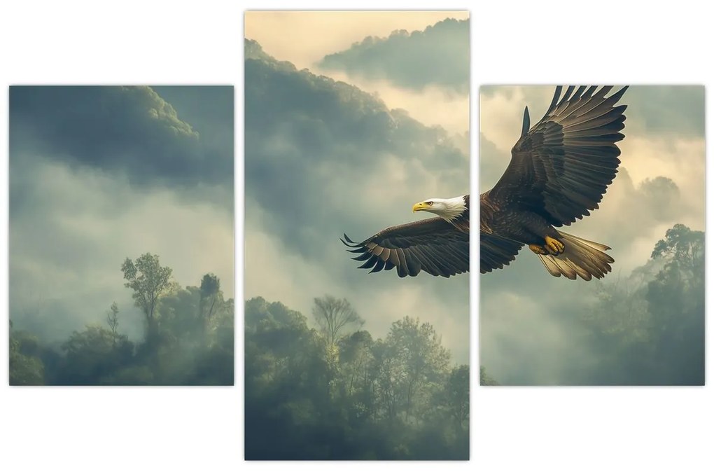 Tablou - Vultur în zbor (90x60 cm)