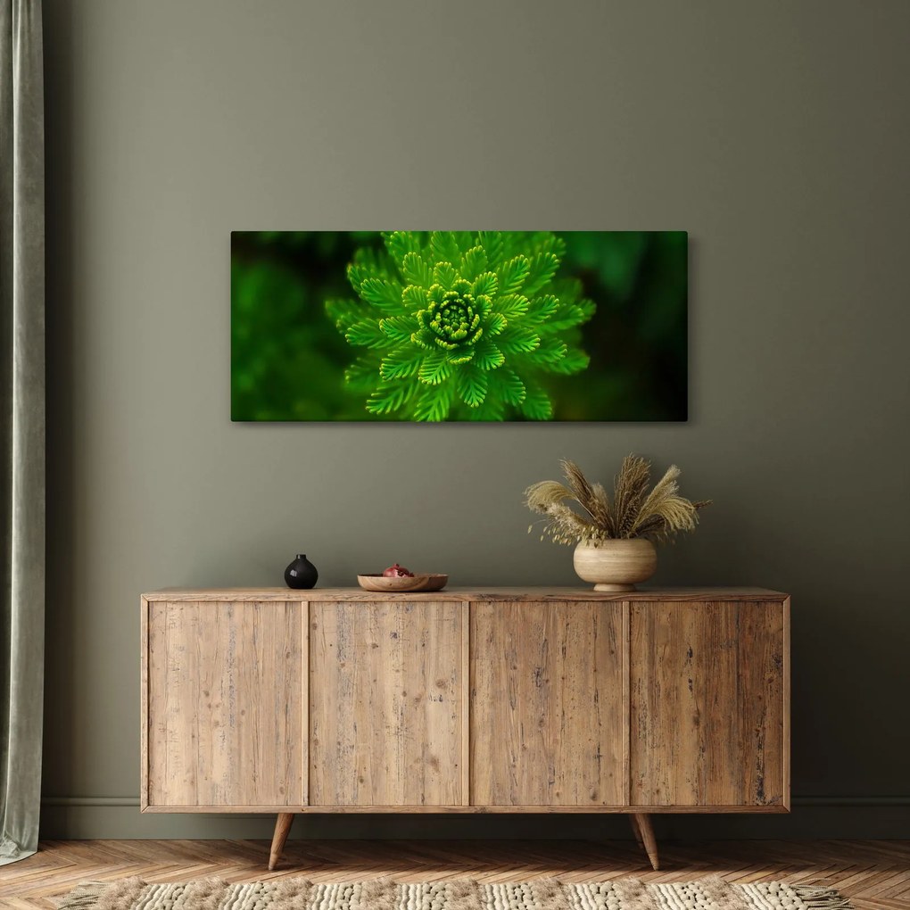 Tablou cu coniferi (120x50 cm)