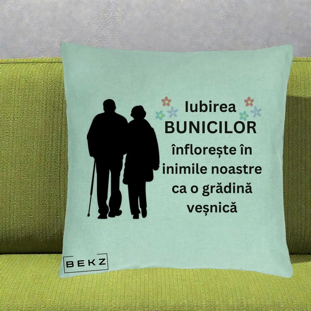 Cadou pentru Bunici - Perna Personalizata Bunicii Iubirea Infloreste Silueta Neagra Flori, 40x40 cm, Verde Menta, Husa Detasabila, Perna Inclusa, BEKZ®