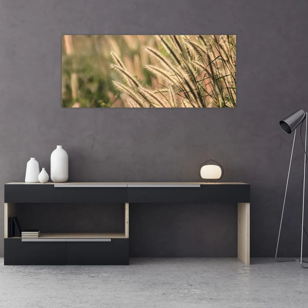 Tablou - Cereale (120x50 cm)