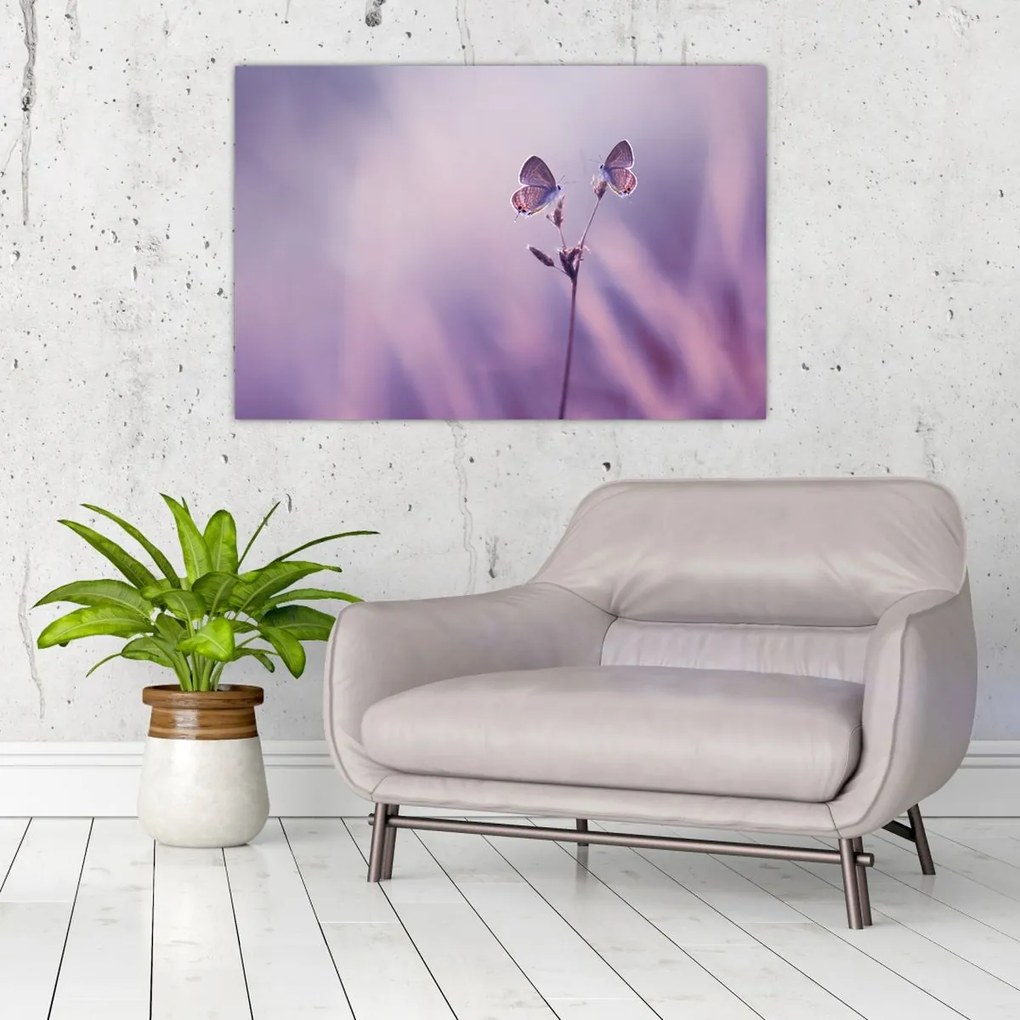 Tablou - Fluturi mov (90x60 cm)