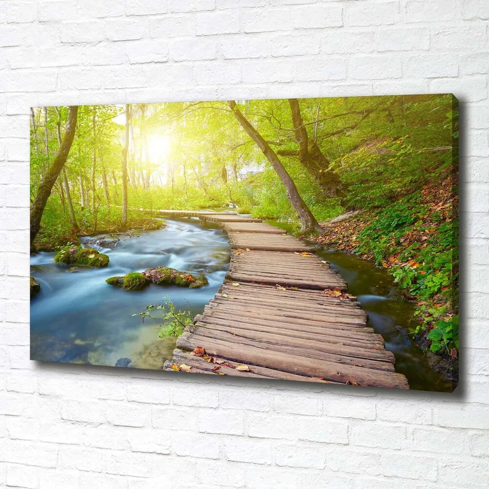 Imprimare tablou canvas Calea în pădure