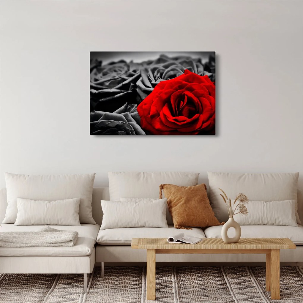 Tablou - Trandafir (90x60 cm)
