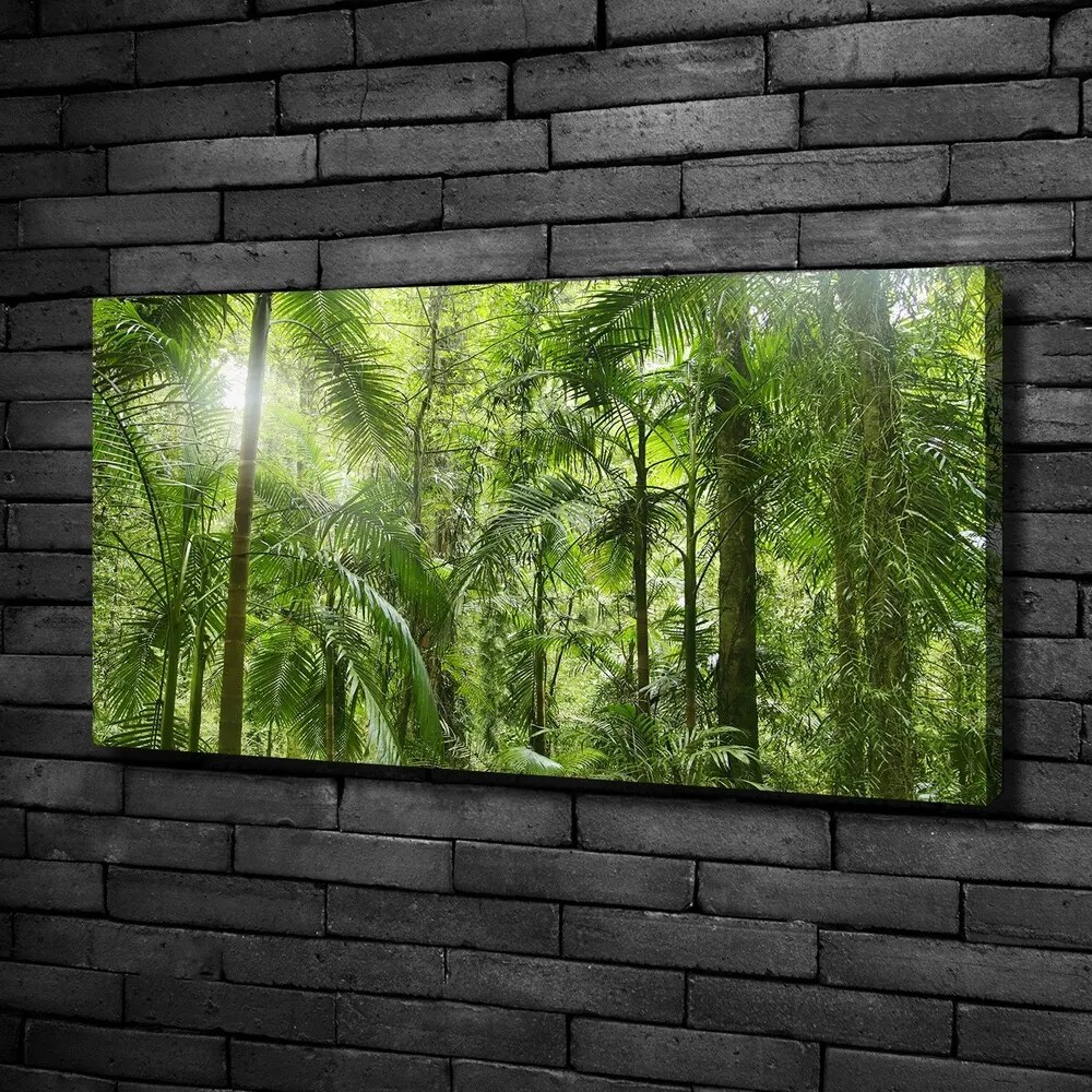 Imprimare tablou canvas Padure tropicala