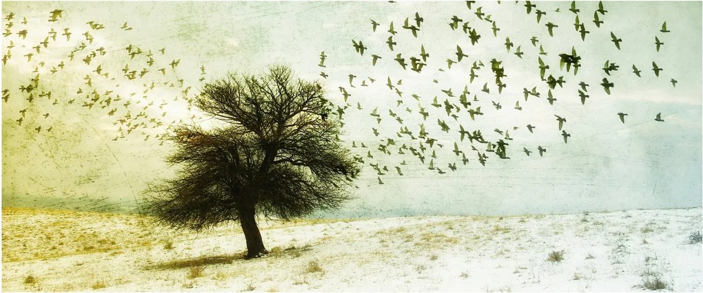 Tablou - cu multe păsări pictate (120x50 cm)