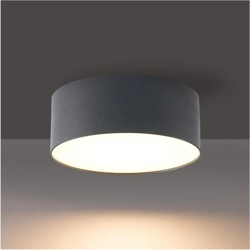 BRILAGI - Plafonieră de exterior FORIS LED/14W/230V Ø 12 cm antracit IP44