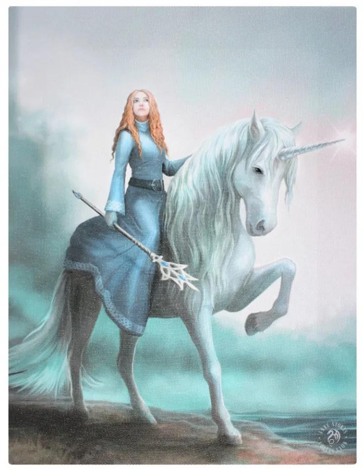 Tablou canvas zana si unicorn, Incepe Aventura 19x25cm Anne Stokes