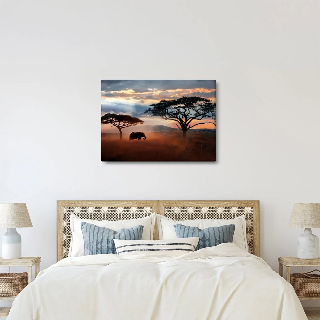 Tablou - Parcul Național Serengeti, Tanzania, Africa (70x50 cm)