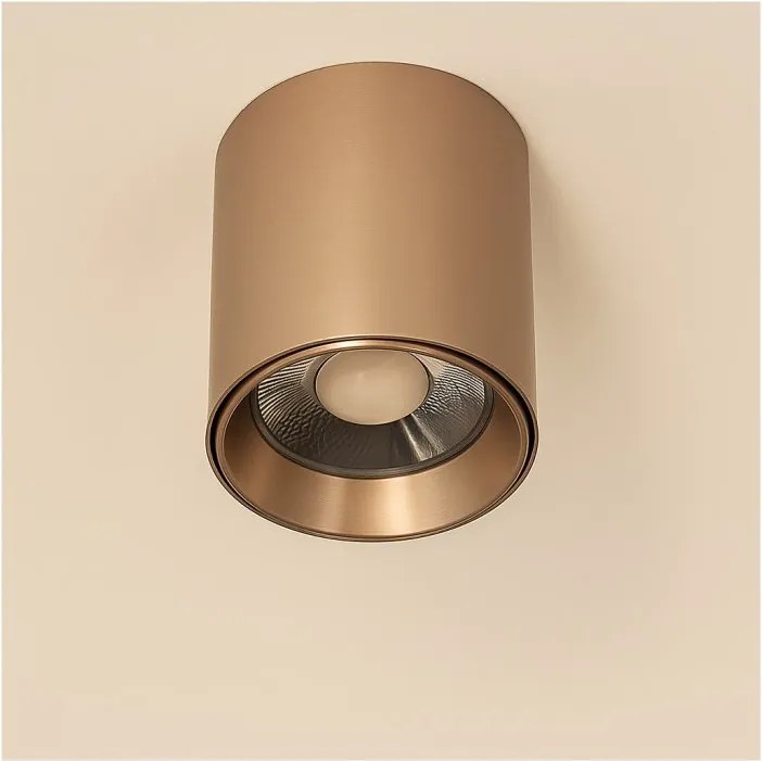 Spot aplicat maro LED BABIL 10W CCT