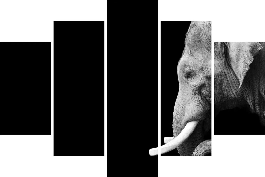 Tablou - Elefant (150x105 cm)