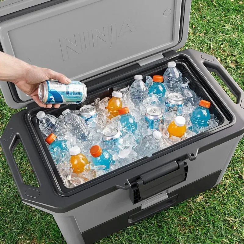 Lada frigorifica Ninja FrostVault FB151EUGY, 47 l, Pasiva, 80 doze, Pastreaza gheata pana la 6 zile, Compartiment uscat, Gri
