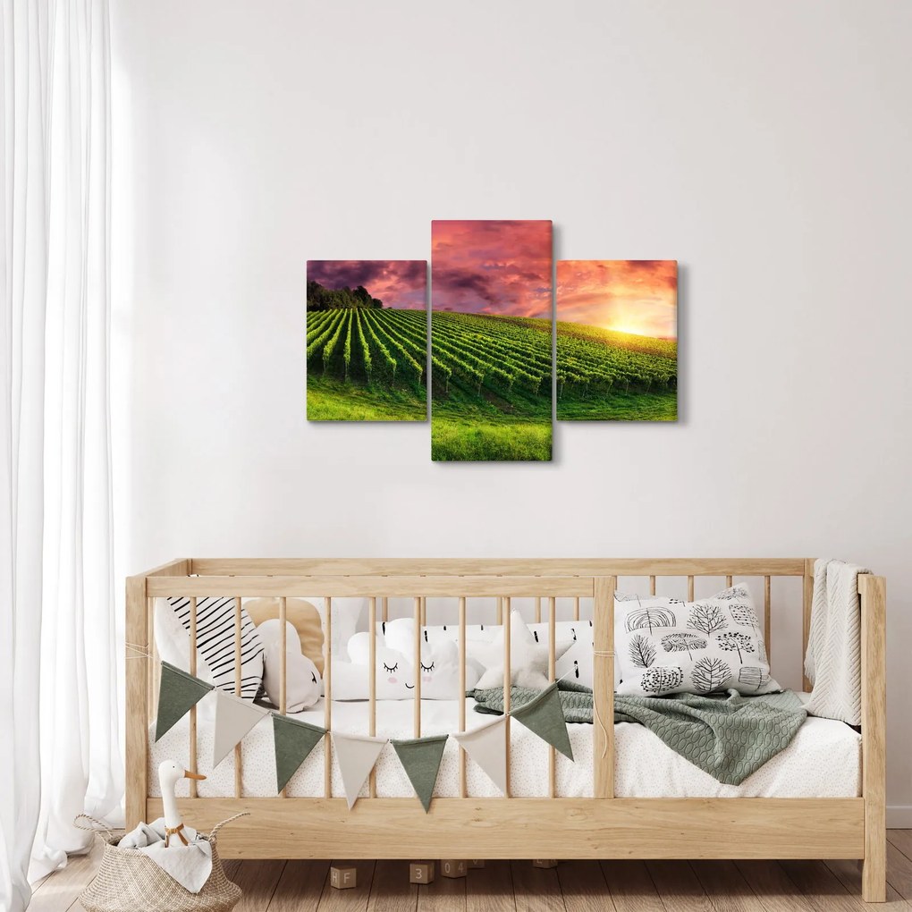 Tablou cu vie cu cerul color (90x60 cm)