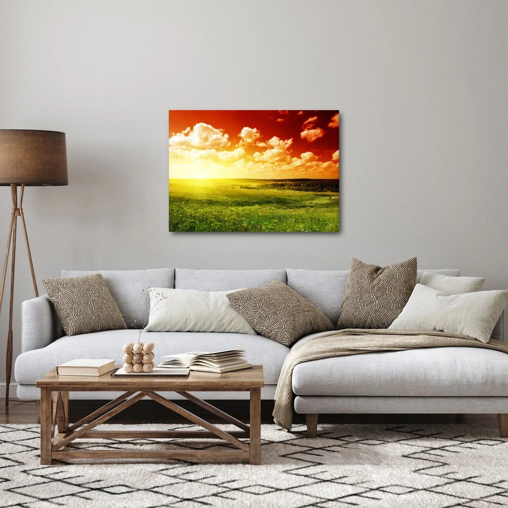 Tablou cu luncă cu soarele strălucitor (70x50 cm)