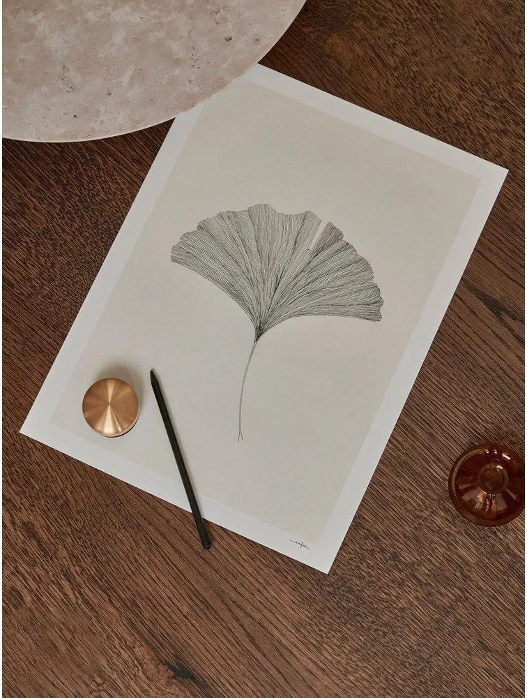 Poster 50x70 cm Ginkgo Leaf – Ana Frois – The Poster Club