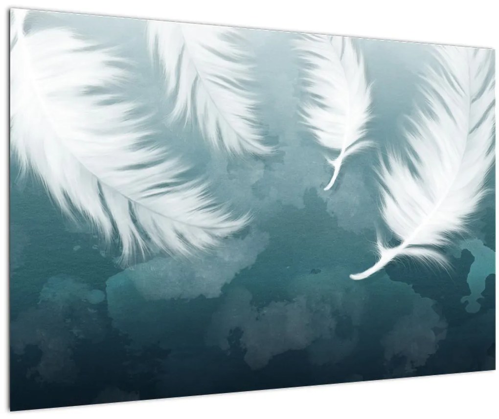 Tablou - Pene albe (90x60 cm)