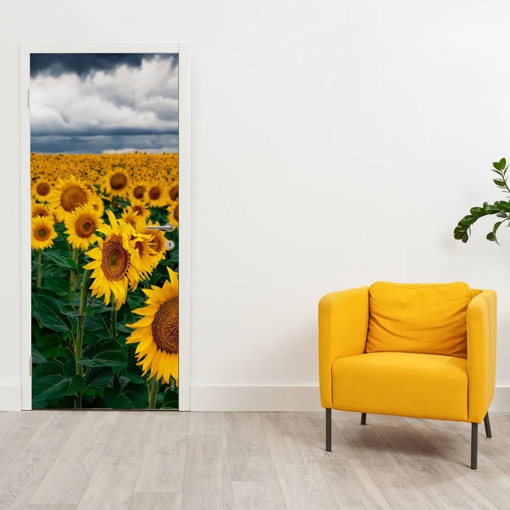 Fototapet pentru ușă - Câmp cu floare soarelui (95x205cm)