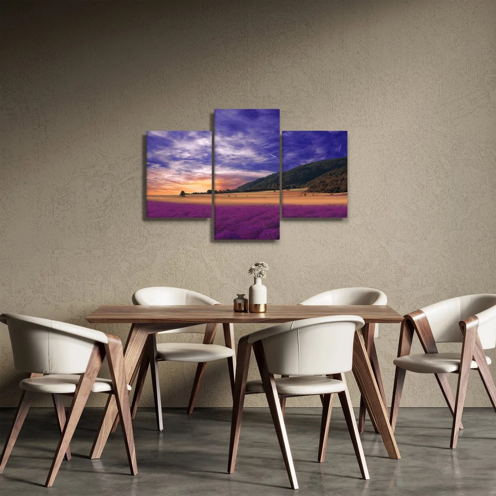 Tablou cu lunca cu lavandă (90x60 cm)