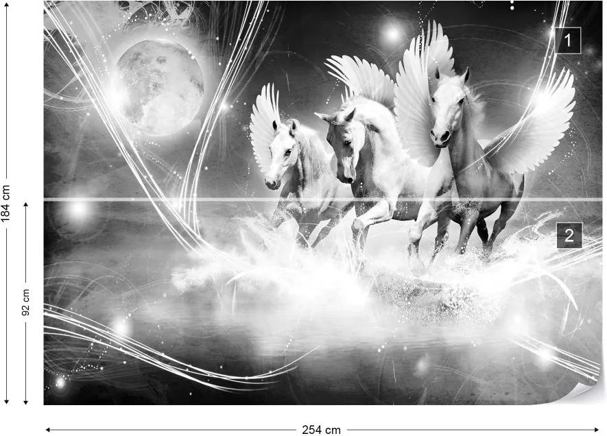 GLIX Fototapet - Winged Horses Pegasus Black And White Vliesová tapeta  - 254x184 cm