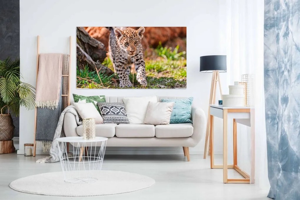 Tablou canvas pui de tigru - 100x60cm