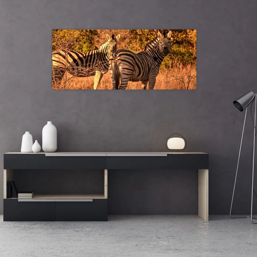 Tablou cu zebre (120x50 cm)