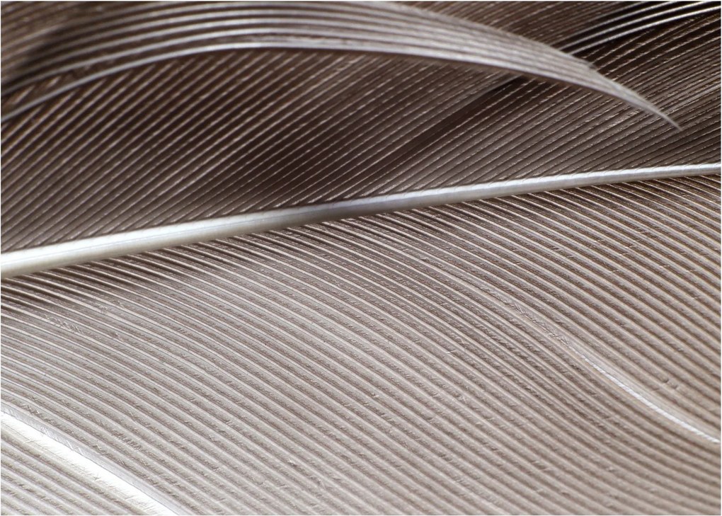 Tablou cu fibre abstacte (70x50 cm)
