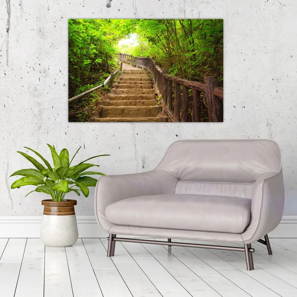 Tablou - Scări în natură (90x60 cm)
