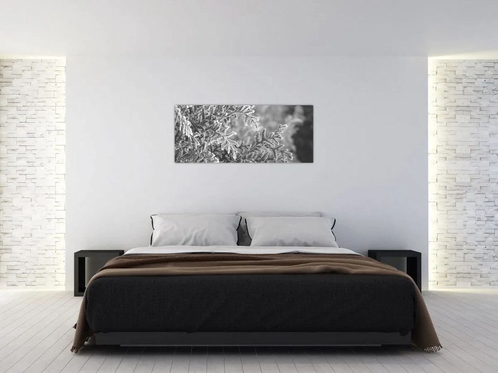 Tablou - Pădure de molid (120x50 cm)