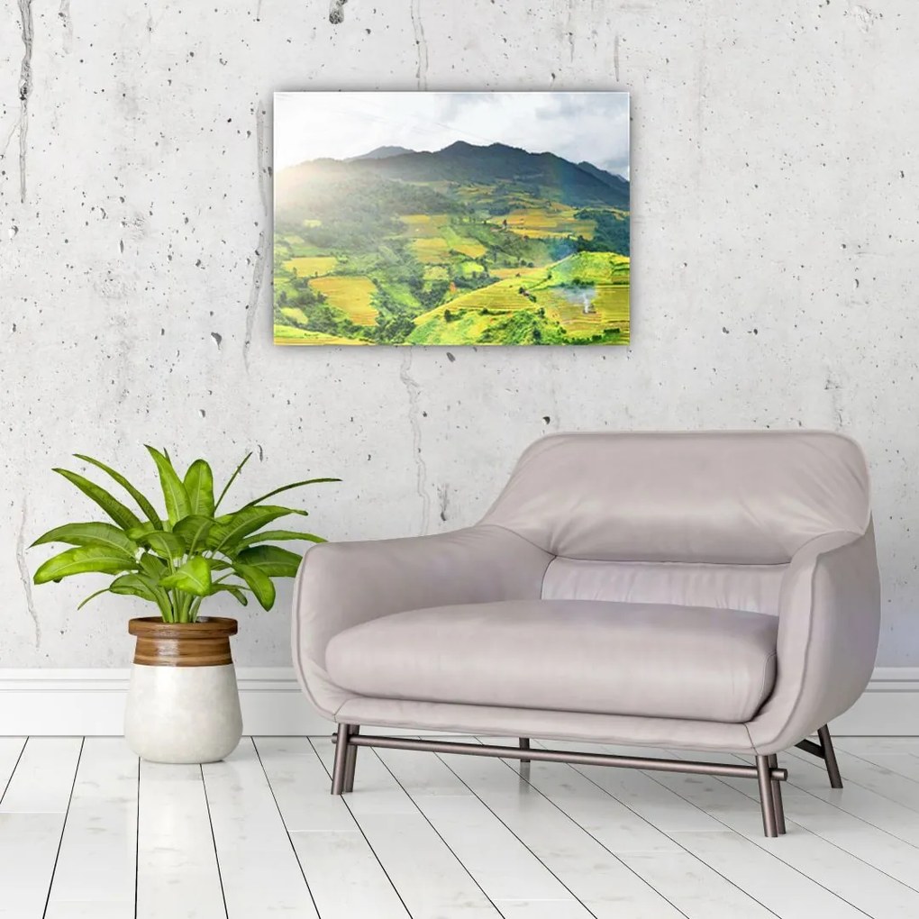 Tablou pe sticlă plantație (70x50 cm)