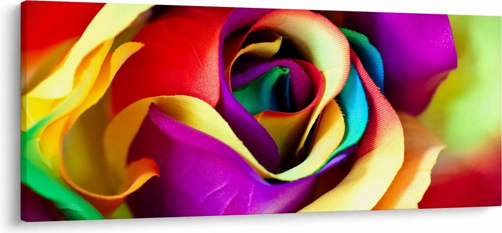 Tablou - Trandafir colorat (120x50 cm)
