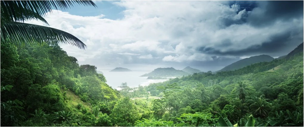 Tablou -Jungla din Seychelles (120x50 cm)