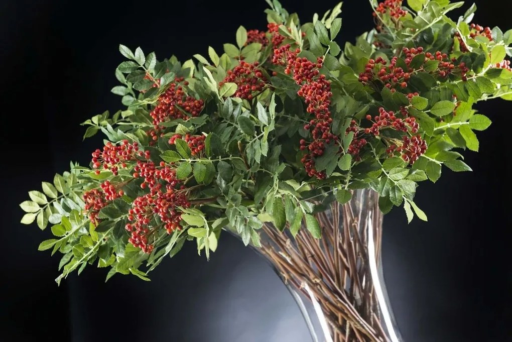 Aranjament floral design LUX, ETERNITY BOWL RED BERRIES 1141799.30