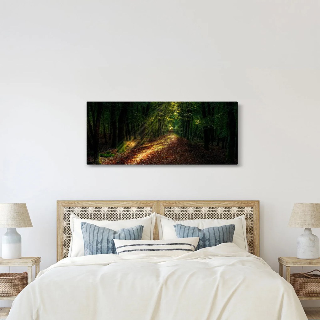 Tablou cu poteca prin pădure (120x50 cm)