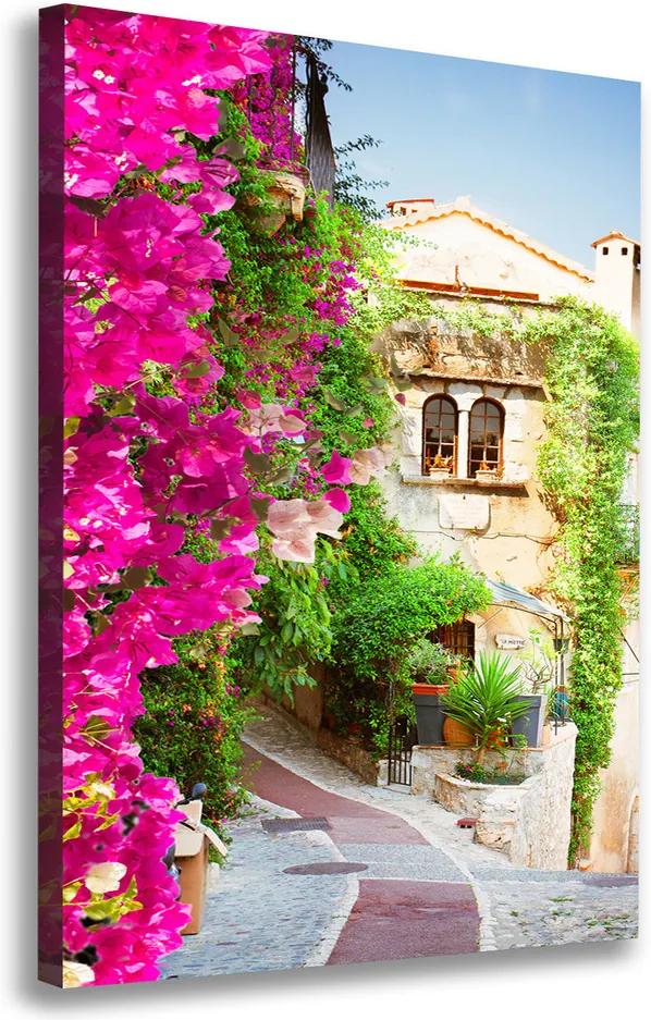 Tablou pe pânză canvas Provence Franța