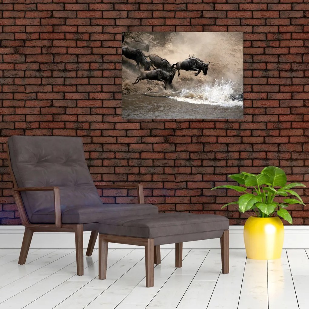 Tablou - Turmă de gnu (70x50 cm)