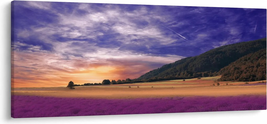 Tablou cu lunca cu lavandă (120x50 cm)