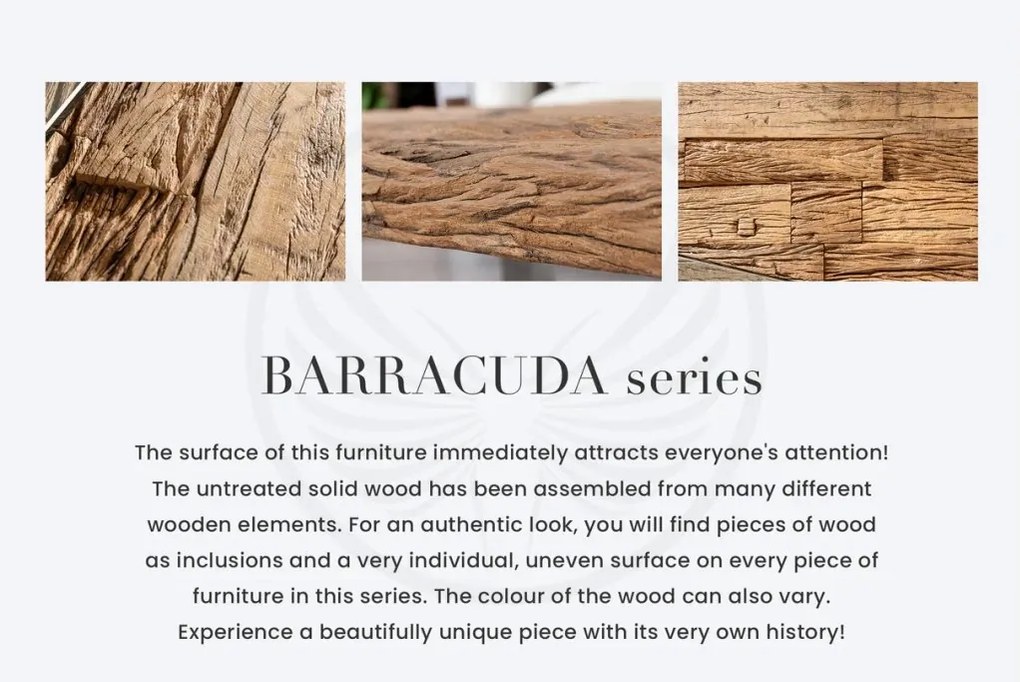 Masuta Living design high-tech din metal si lemn masiv, Barracuda 110cm A-36650+30117G VC