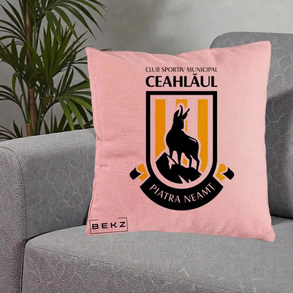 Perna Personalizata CSM Ceahlaul Piatra Neamt Fotbal, 40x40 cm, Roz, Husa Detasabila, Perna Inclusa, BEKZ®