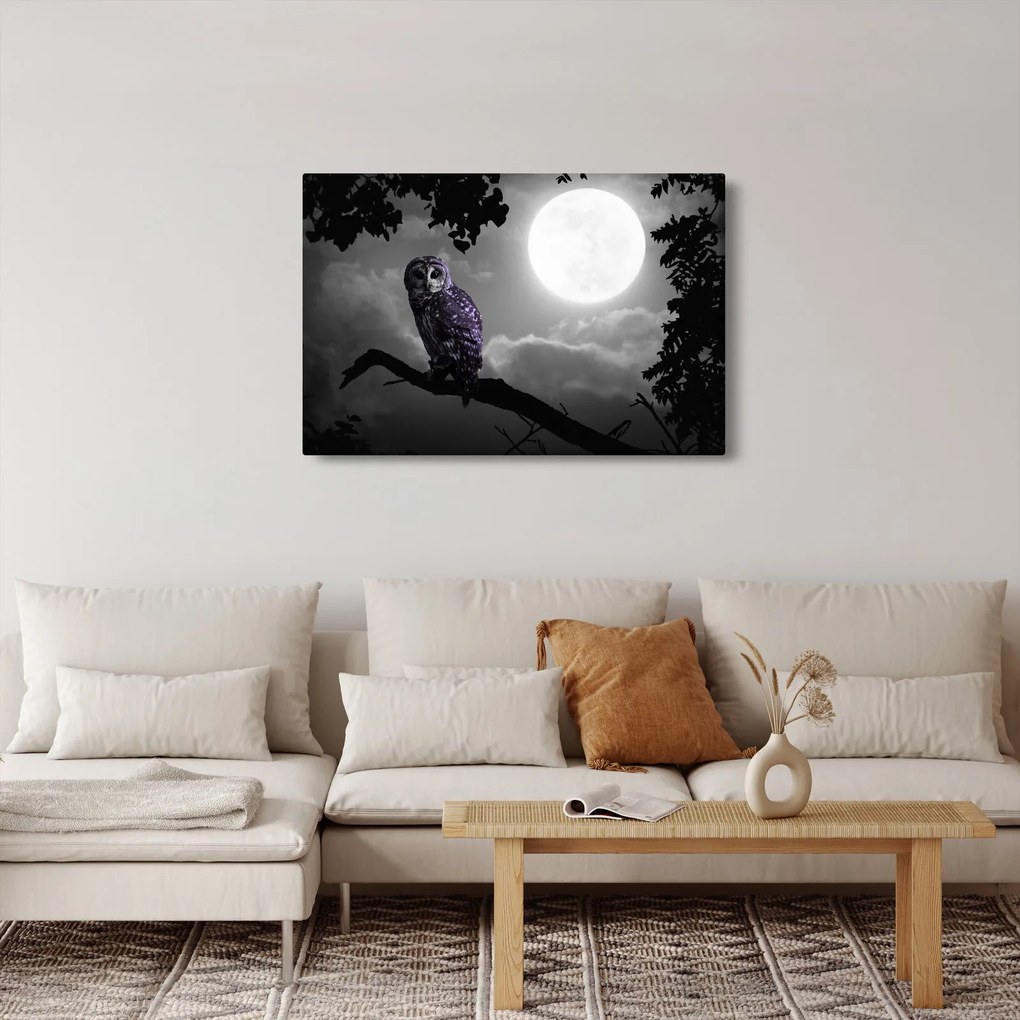 Tablou - Bufniță de noapte, bufniță mov (90x60 cm)