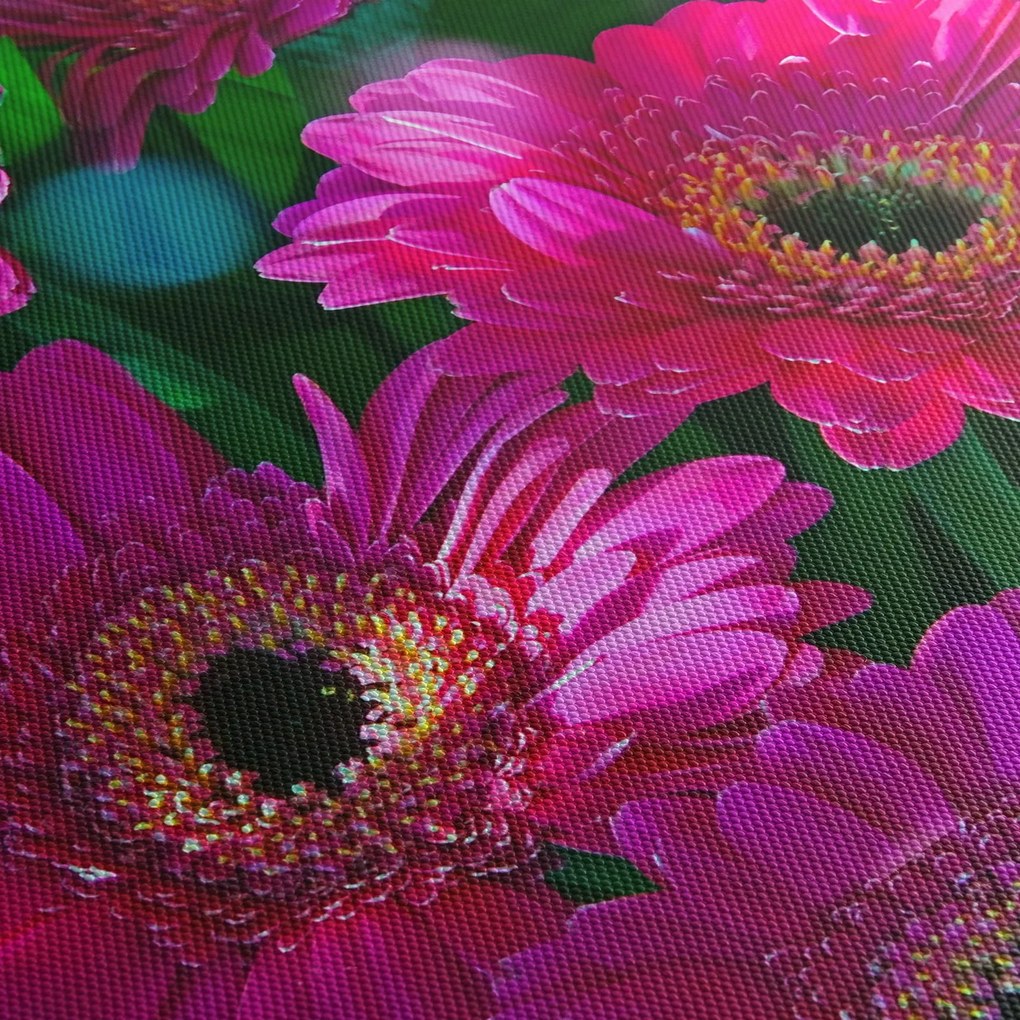 Tablou - floare (70x50 cm)