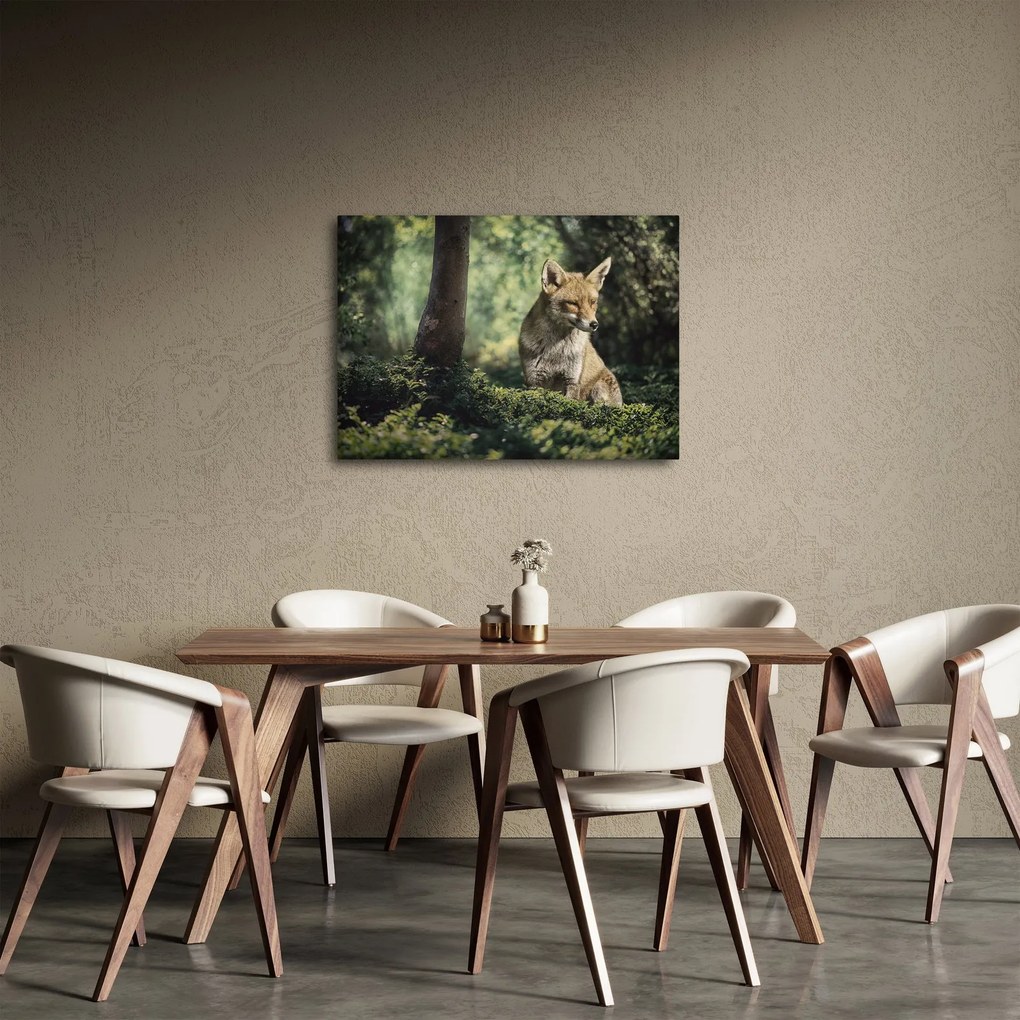 Tablou cu vulpe (70x50 cm)