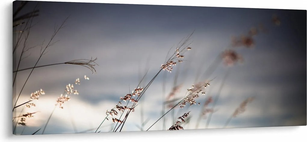 Tablou -Flori de luncă (120x50 cm)