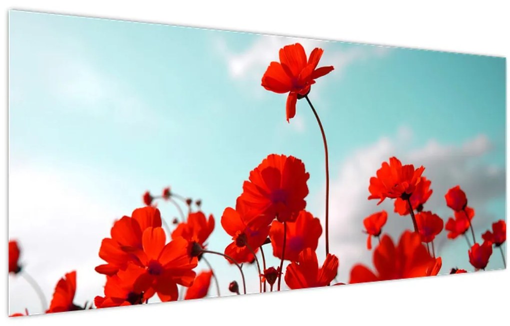 Tablou - Câmp cu flori roșu deschis (120x50 cm)